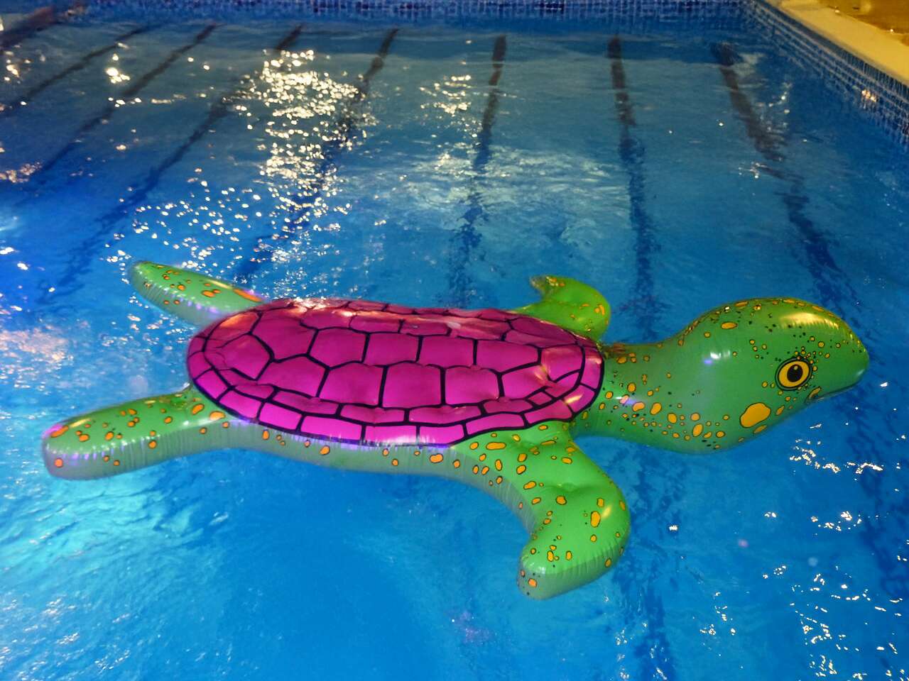 Airkraft Wasserobjekt "Schildkröte" Unkategorisiert online kaufen