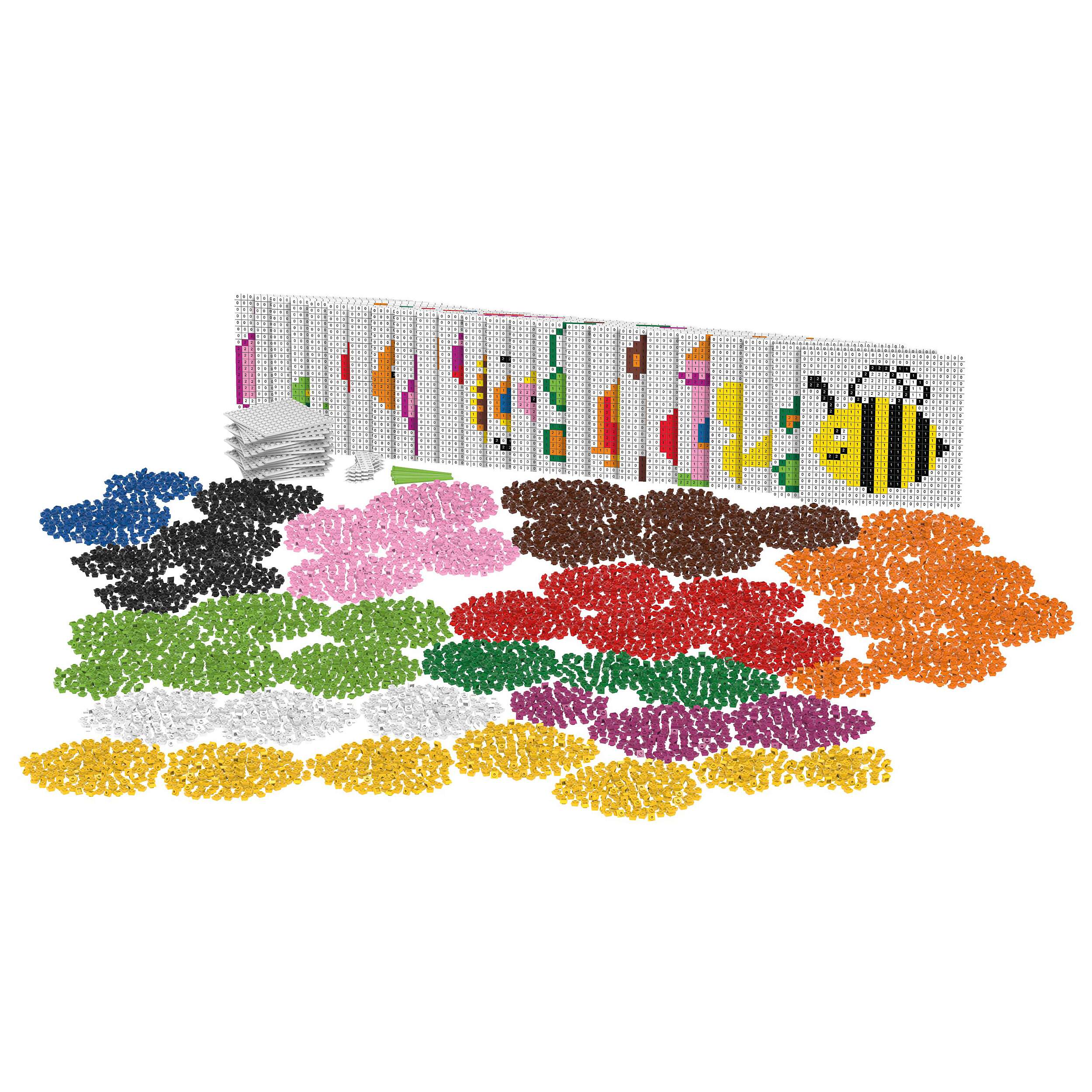 Biobuddi Lernspiel "Edukatives Starter-Set" Unkategorisiert online kaufen