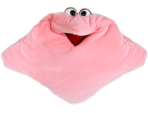 Living Puppets Handpuppe "Wunschtraum-Kuschelmuschelkissen", Pink Unkategorisiert online kaufen
