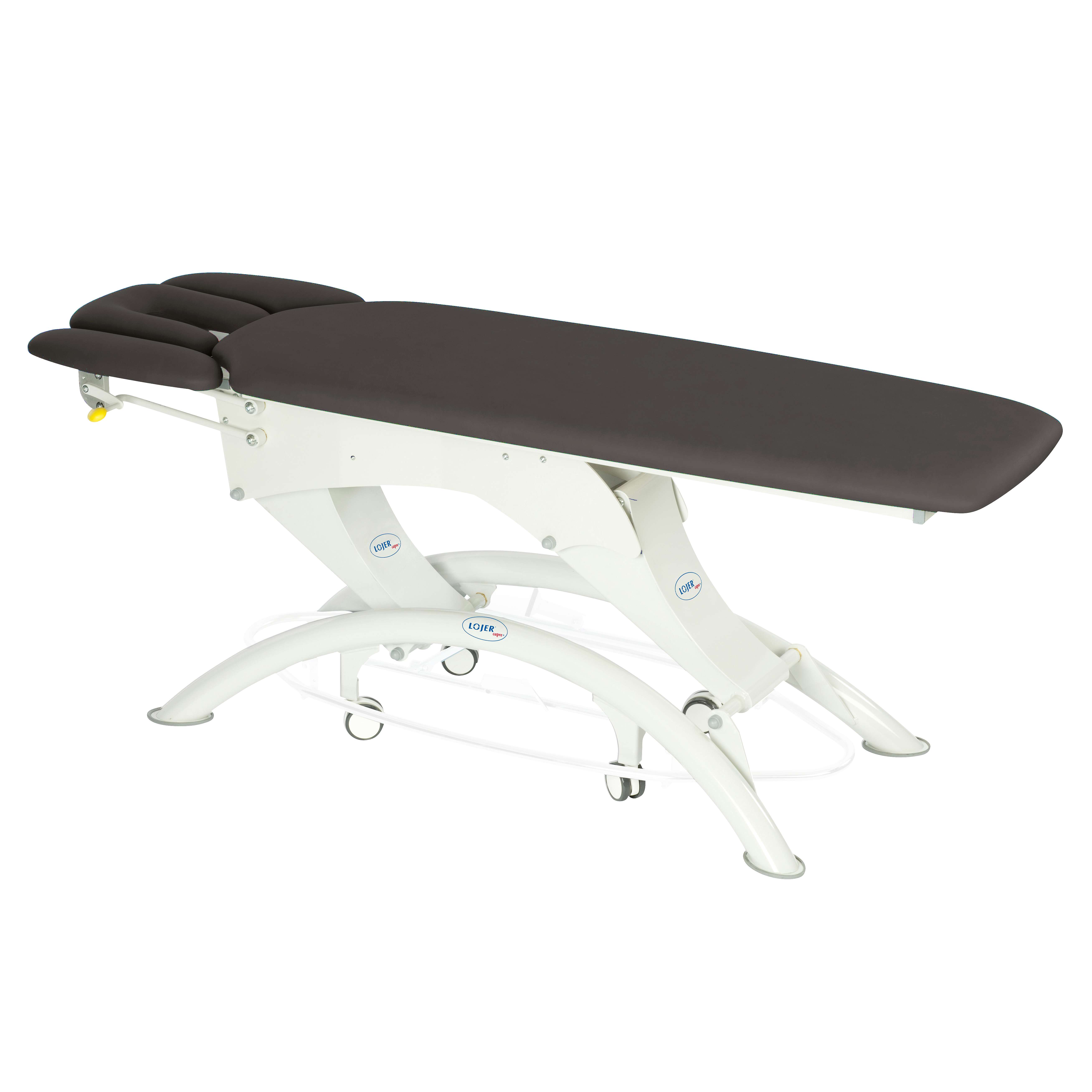 Lojer Elektrische Therapieliege "Capre M4", 4-teilig, Carbon, 65 cm Unkategorisiert online kaufen