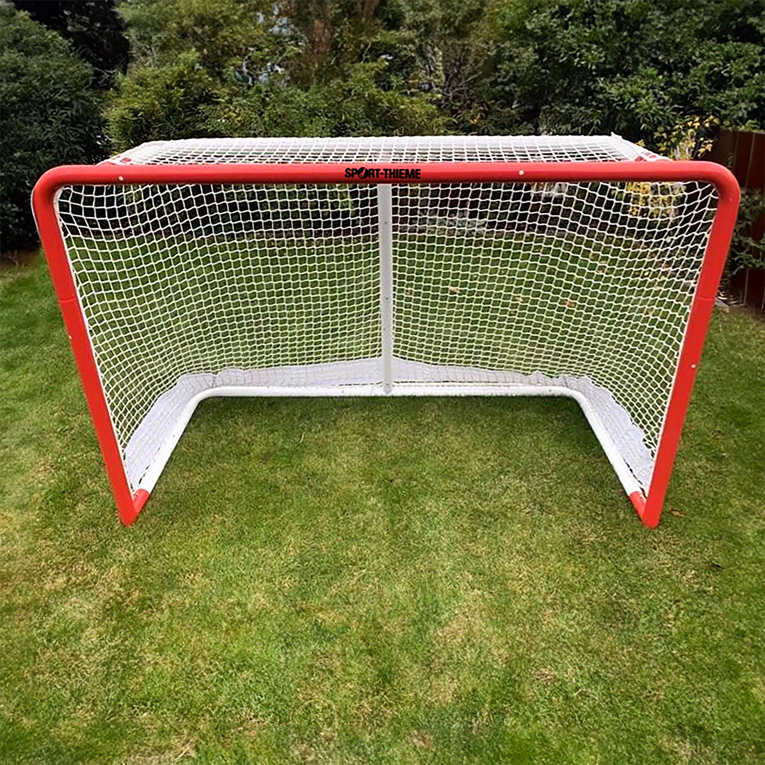 Sport-Thieme Streethockeytor "Competition" Unkategorisiert online kaufen