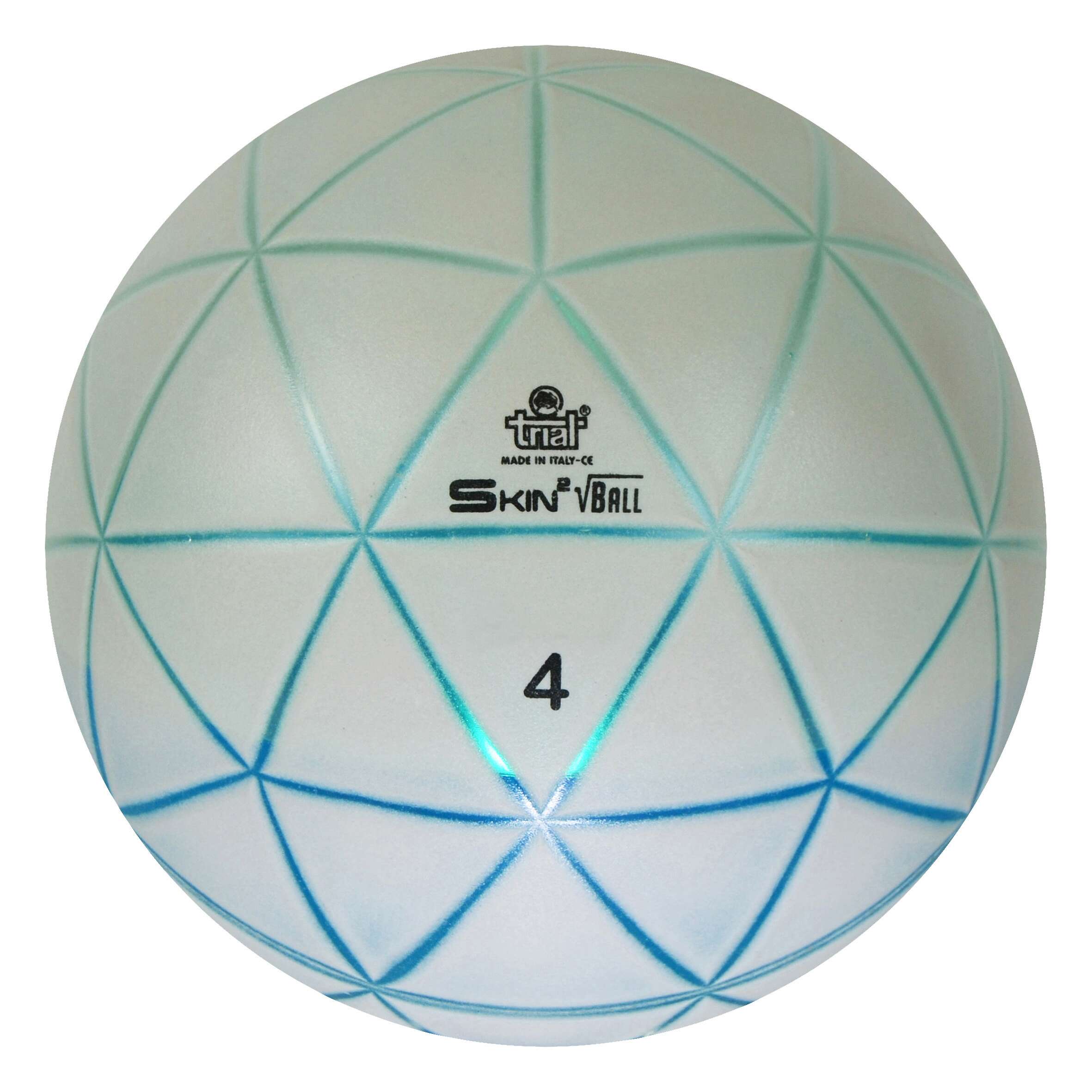 Trial Gewichtsball "Skin Ball", 26 cm Unkategorisiert online kaufen Trial Gewichtsball "Skin Ball", 26 cm Unkategorisiert online kaufen