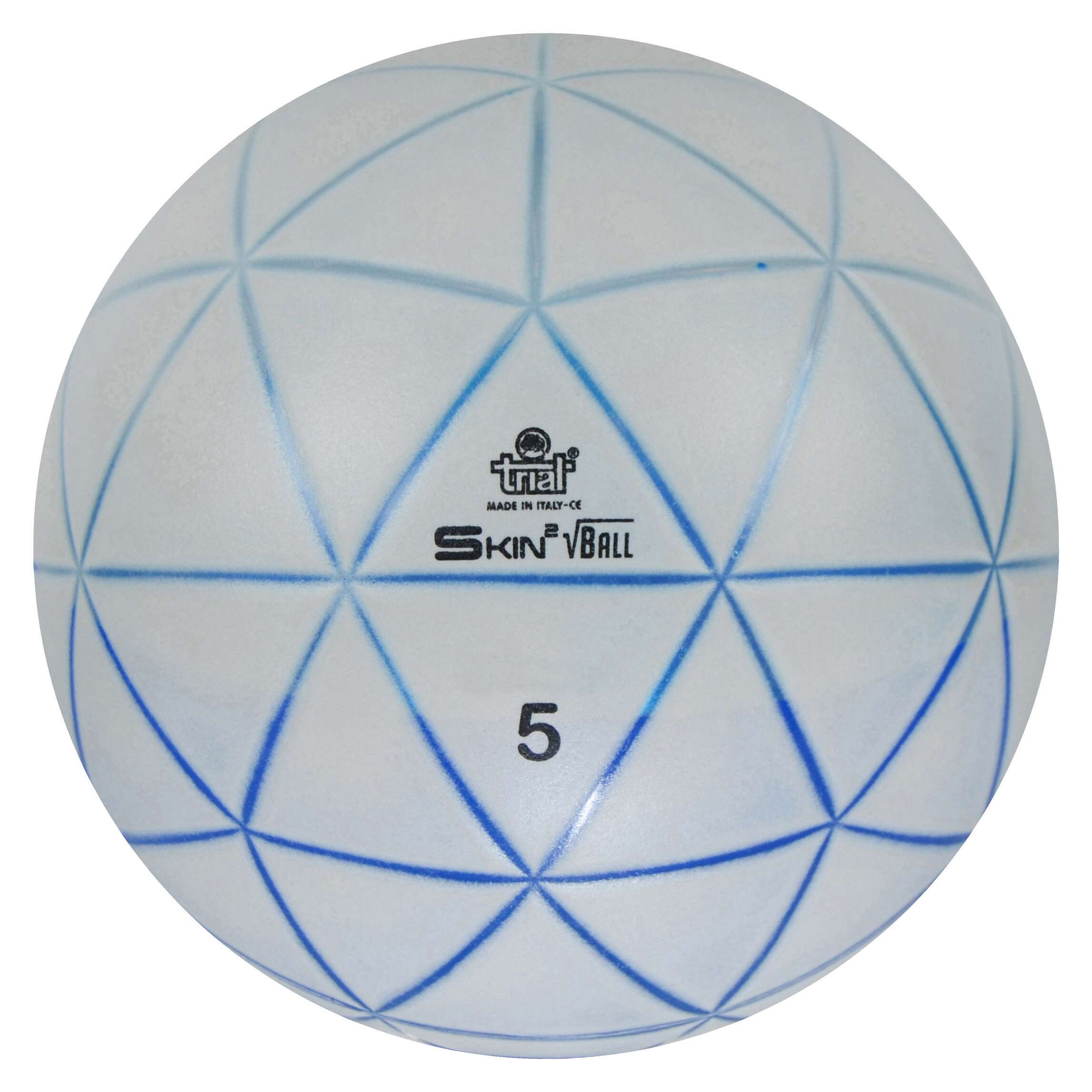 Trial Gewichtsball "Skin Ball", 5 kg, 26 cm Unkategorisiert online kaufen